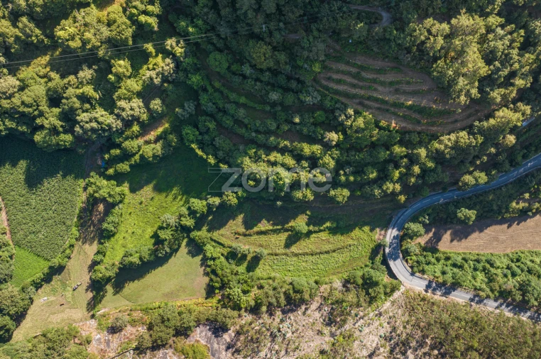 Terreno para Venda em Vilela, Seramil e Paredes Secas Foto 12