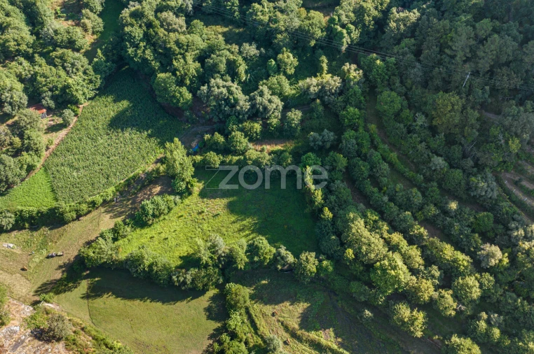 Terreno para Venda em Vilela, Seramil e Paredes Secas Foto 14