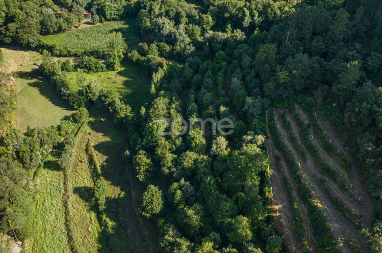 Terreno para Venda em Vilela, Seramil e Paredes Secas Foto 15