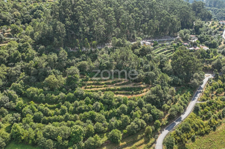 Terreno para Venda em Vilela, Seramil e Paredes Secas Foto 4