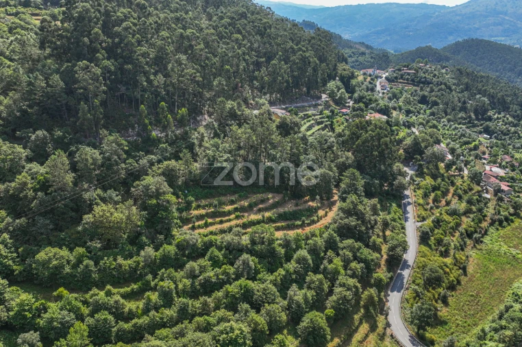 Terreno para Venda em Vilela, Seramil e Paredes Secas Foto 6