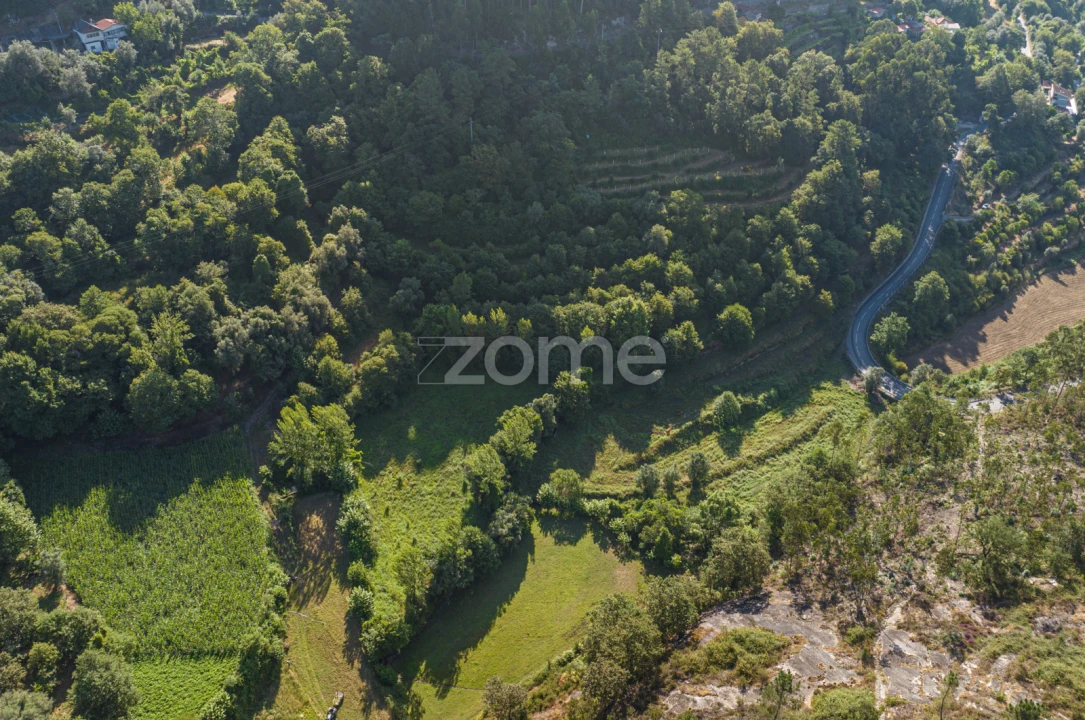 Terreno para Venda em Vilela, Seramil e Paredes Secas Foto 8