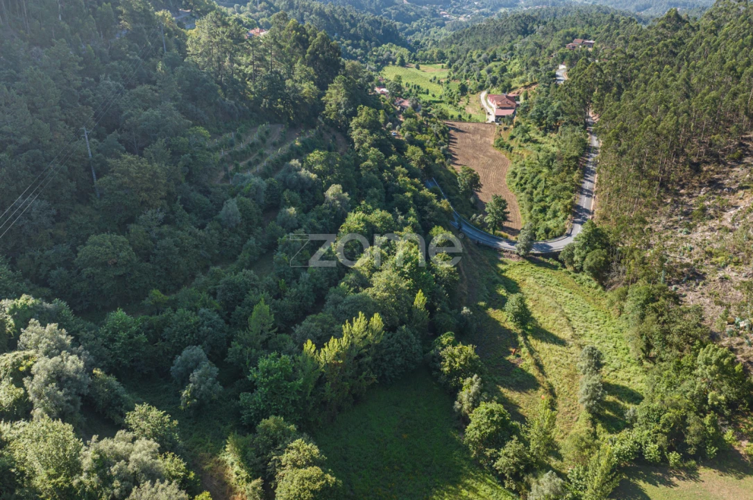 Terreno para Venda em Vilela, Seramil e Paredes Secas Foto 13