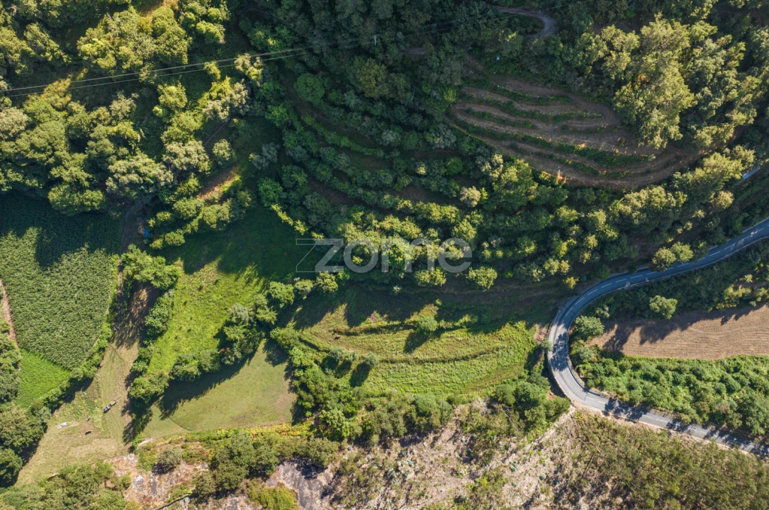 Terreno para Venda em Vilela, Seramil e Paredes Secas Foto 12