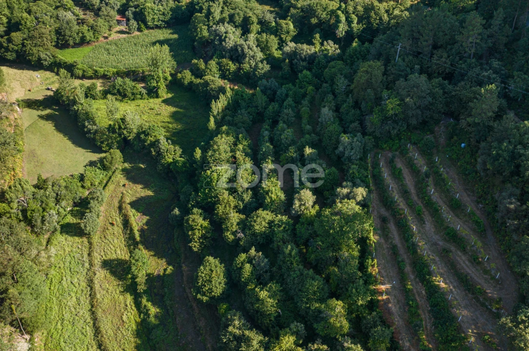 Terreno para Venda em Vilela, Seramil e Paredes Secas Foto 15