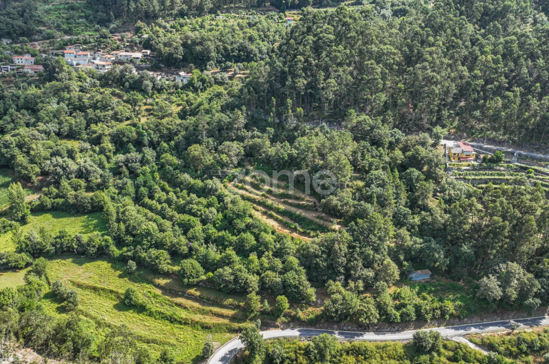 Terreno para Venda em Vilela, Seramil e Paredes Secas Foto 1