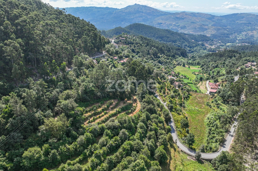 Terreno para Venda em Vilela, Seramil e Paredes Secas Foto 4