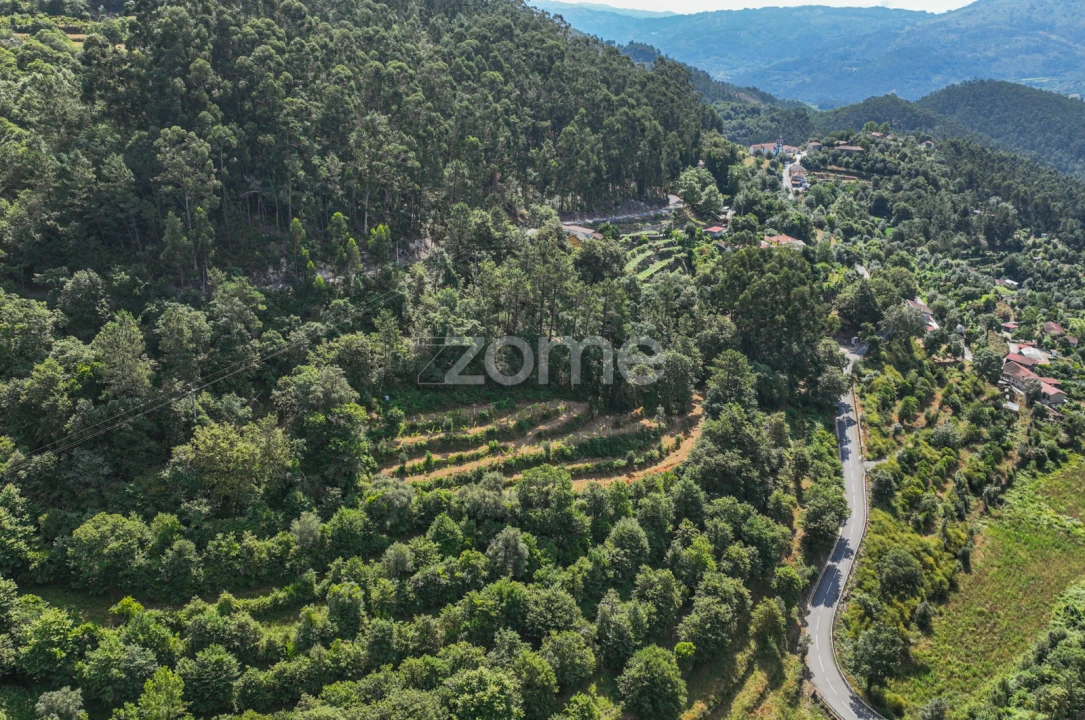 Terreno para Venda em Vilela, Seramil e Paredes Secas Foto 5
