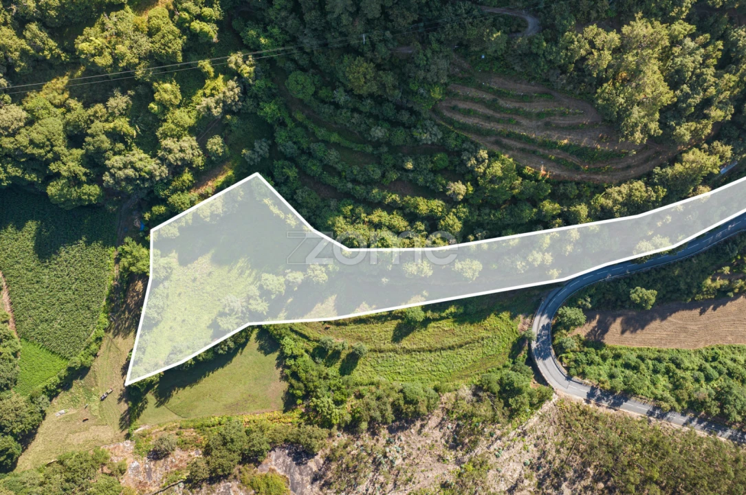 Terreno para Venda em Vilela, Seramil e Paredes Secas Foto 6