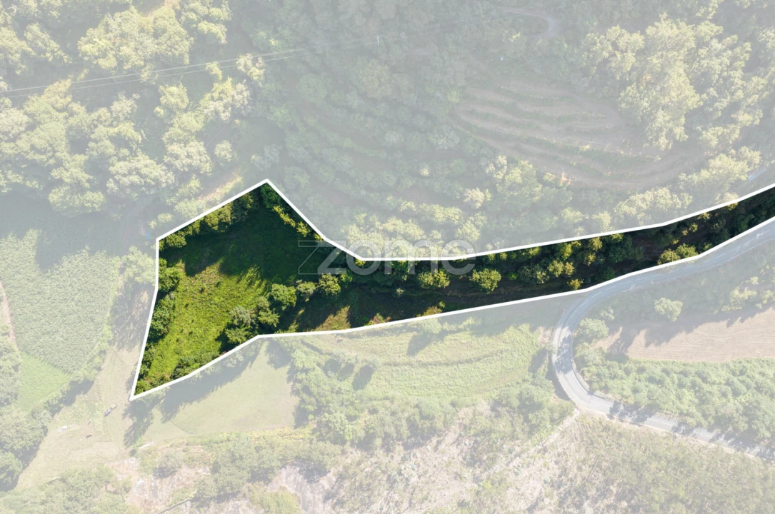 Terreno para Venda em Vilela, Seramil e Paredes Secas Foto 7