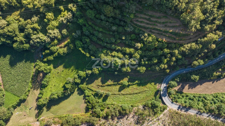 Terreno para Venda em Vilela, Seramil e Paredes Secas