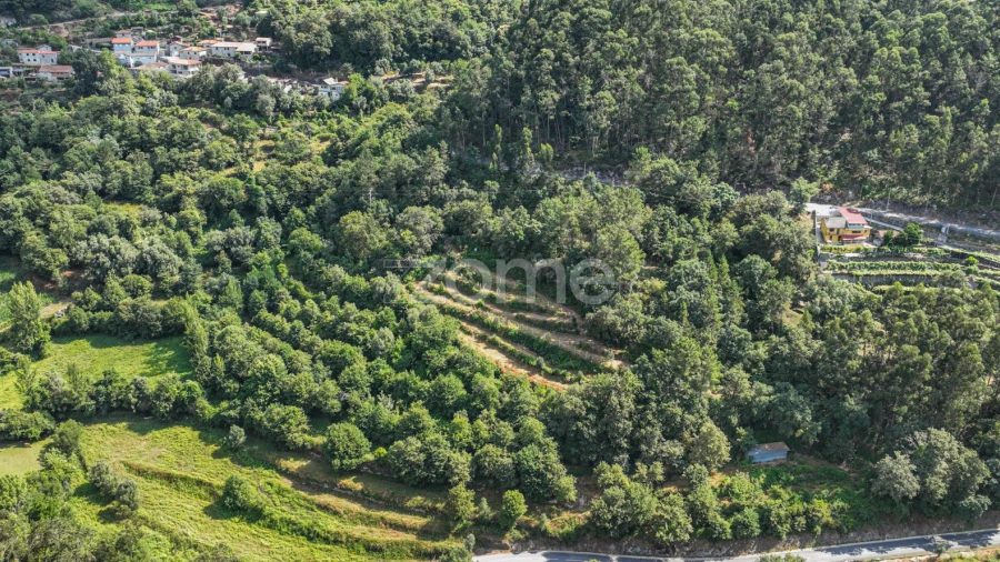 Terreno para Venda em Vilela, Seramil e Paredes Secas