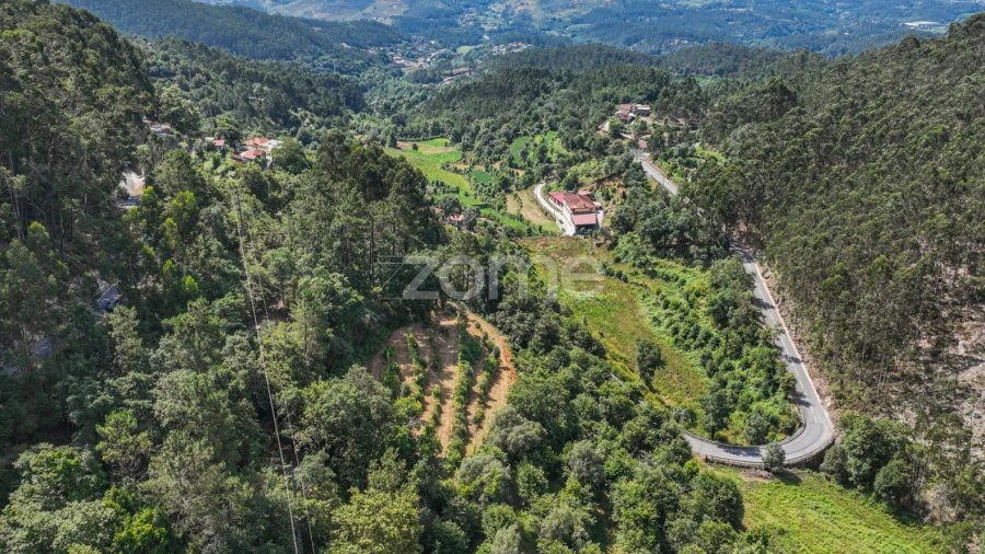 Terreno para Venda em Vilela, Seramil e Paredes Secas