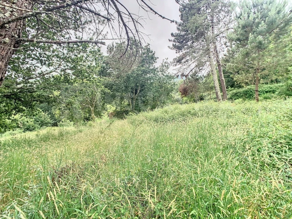 Moradia T1 para Venda em Candemil e Gondar Foto 11