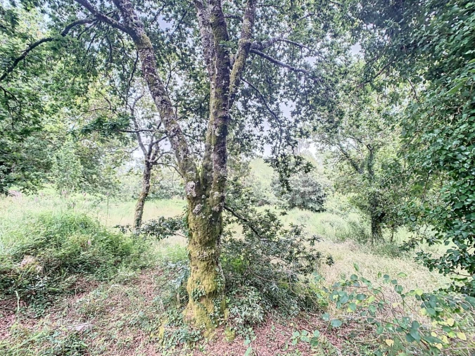 Moradia T1 para Venda em Candemil e Gondar Foto 18