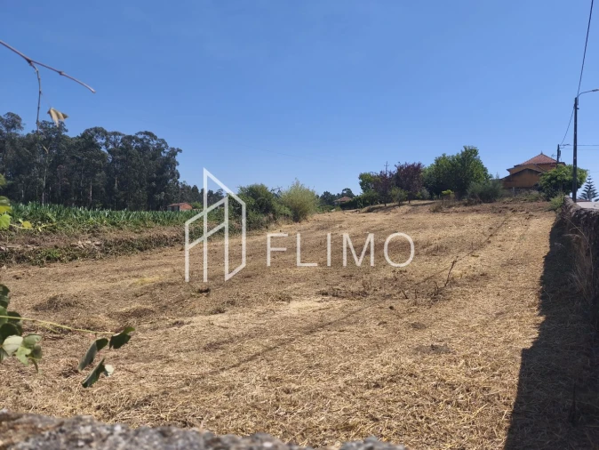 Terreno para Venda em Avanca Foto 15