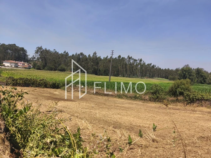 Terreno para Venda em Avanca Foto 13