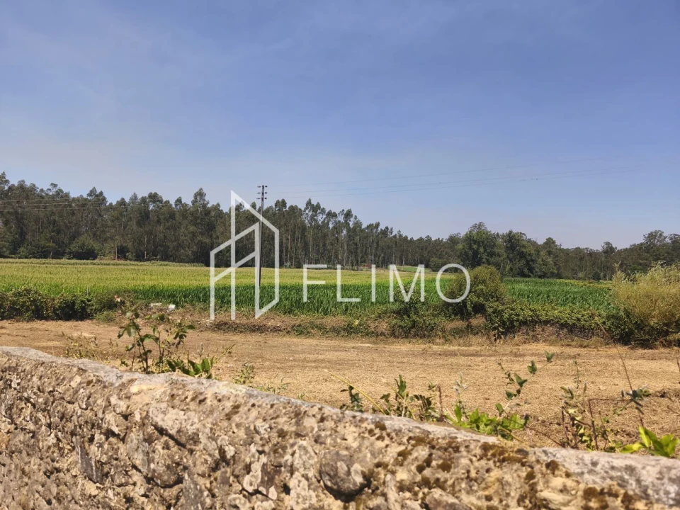 Terreno para Venda em Avanca Foto 12