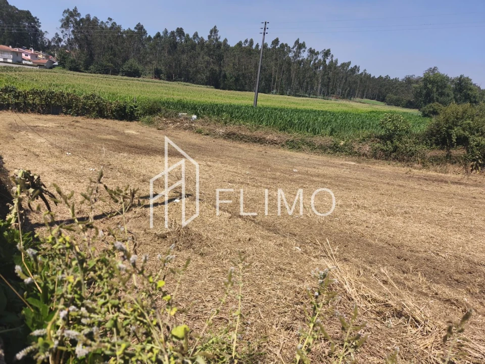 Terreno para Venda em Avanca Foto 14