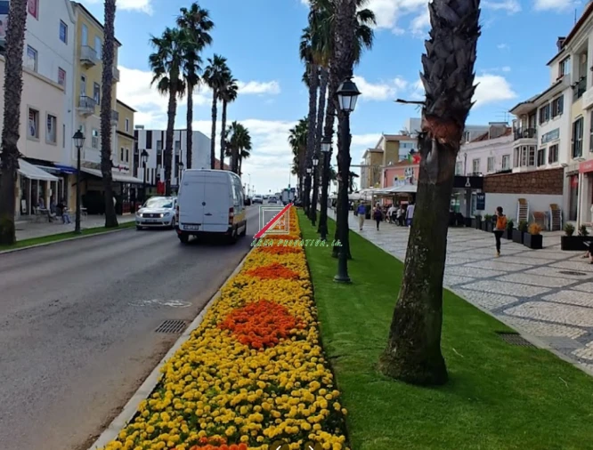 Loja para Arrendamento em Cascais e Estoril Foto 31