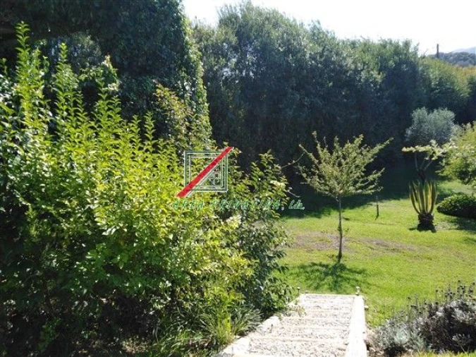 Quinta T3 para Venda em Cercal Foto 45