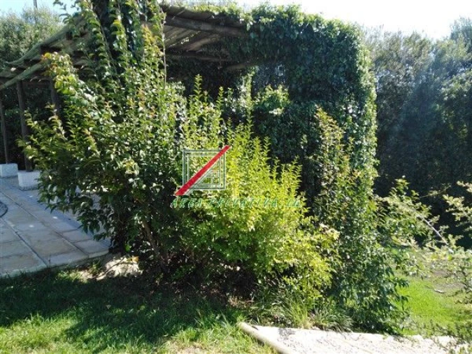 Quinta T3 para Venda em Cercal Foto 44