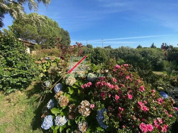 Quinta T3 para Venda em Cercal Foto 2