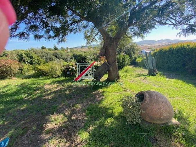 Quinta T3 para Venda em Cercal Foto 25