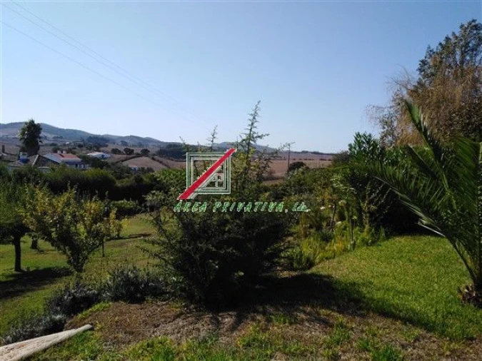 Quinta T3 para Venda em Cercal Foto 40