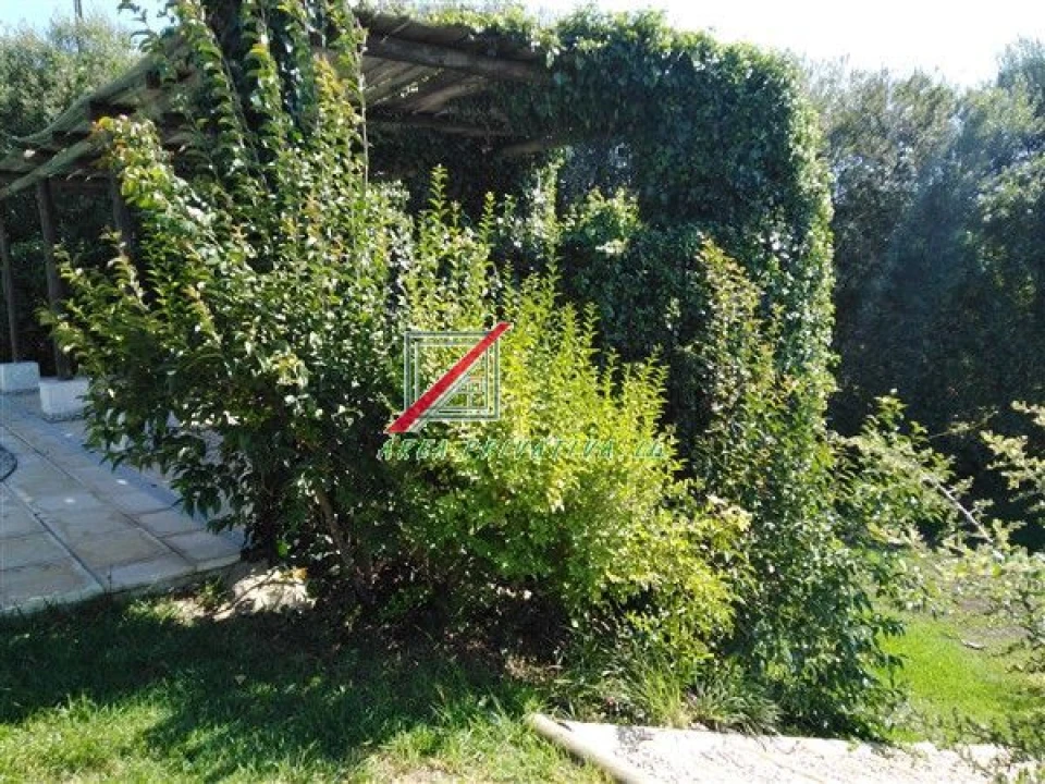 Quinta T3 para Venda em Cercal Foto 44