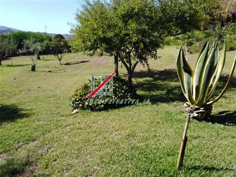 Quinta T3 para Venda em Cercal Foto 3