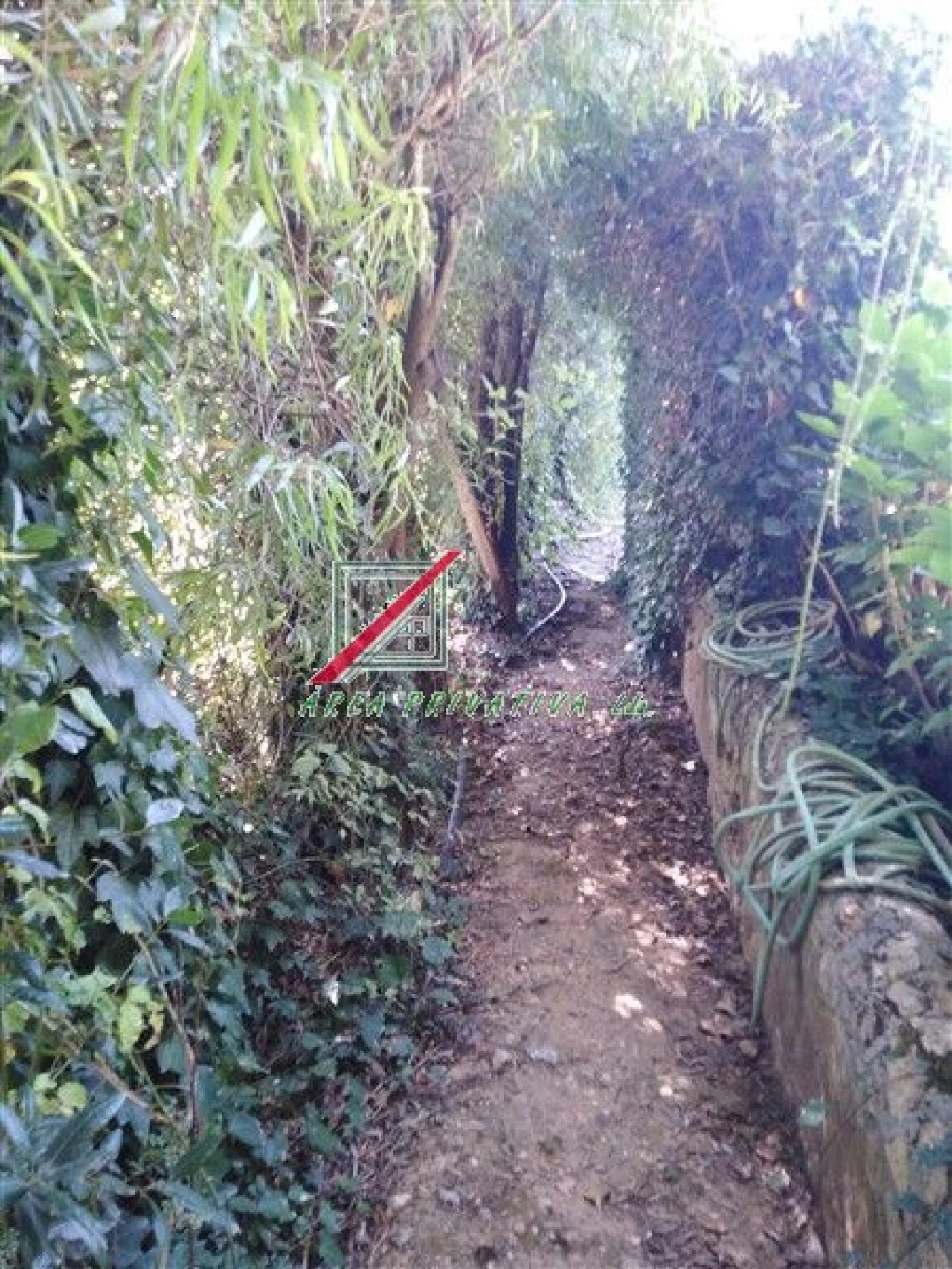 Quinta T3 para Venda em Cercal Foto 33