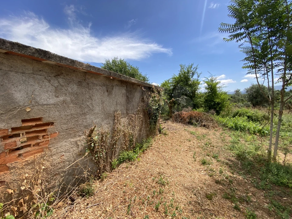 Moradia T1 para Venda em Sarzedo Foto 8