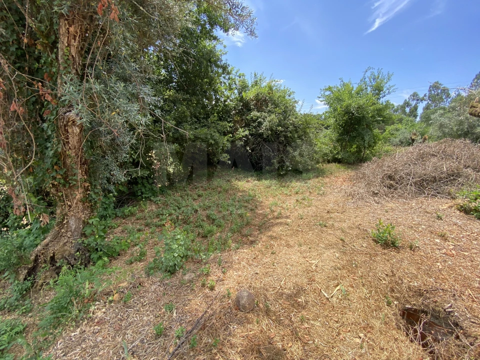 Moradia T1 para Venda em Sarzedo Foto 9