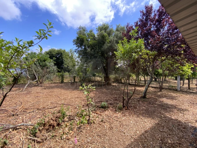 Moradia T2 para Venda em Sarzedo Foto 9