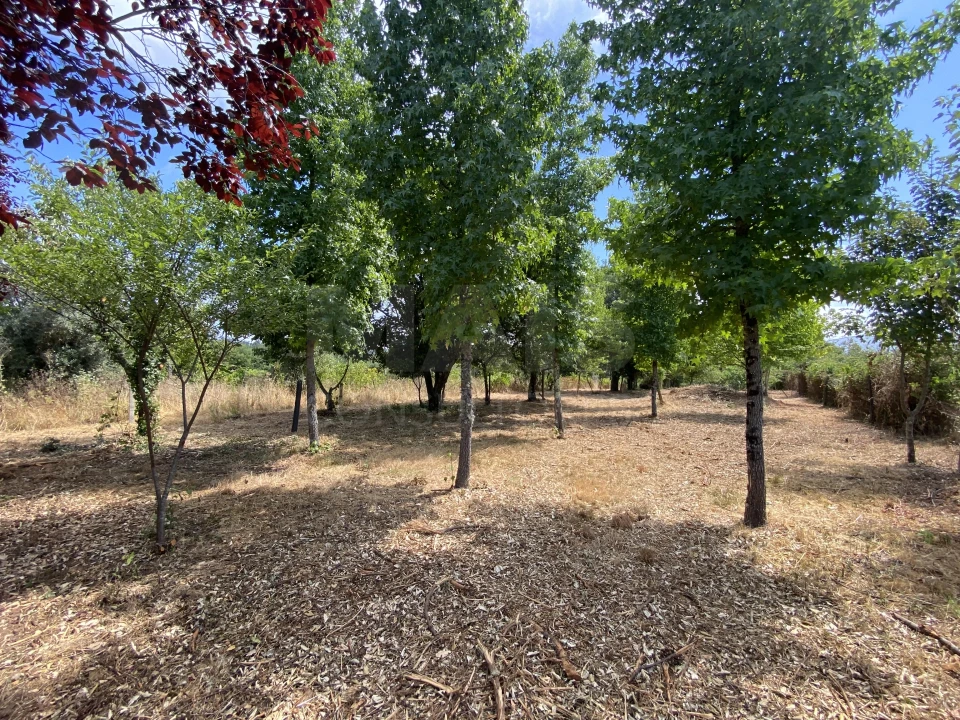 Moradia T2 para Venda em Sarzedo Foto 10