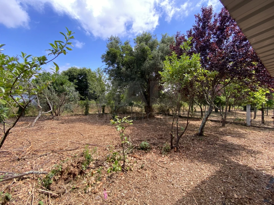 Moradia T2 para Venda em Sarzedo Foto 9