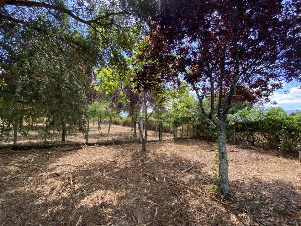 Moradia T2 para Venda em Sarzedo Foto 11