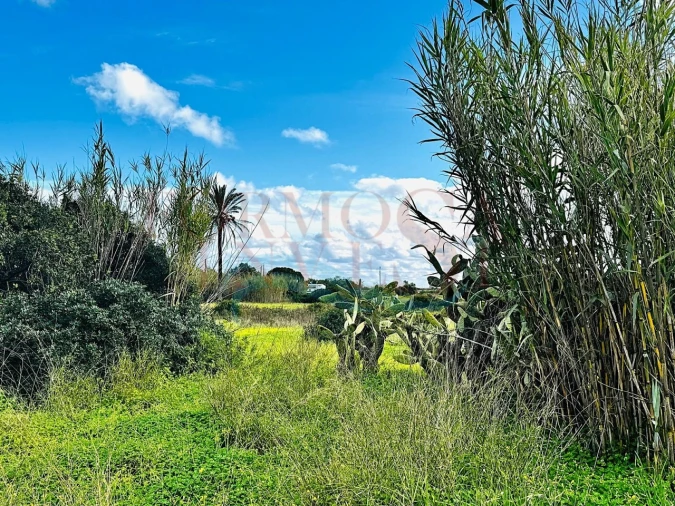 Terreno Agricola ou Rústico para Venda em Moncarapacho e Fuseta Foto 4