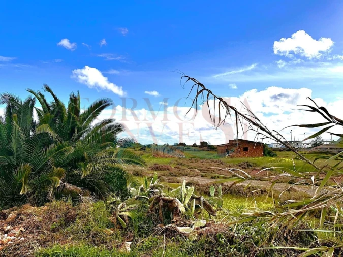 Terreno Agricola ou Rústico para Venda em Moncarapacho e Fuseta Foto 5