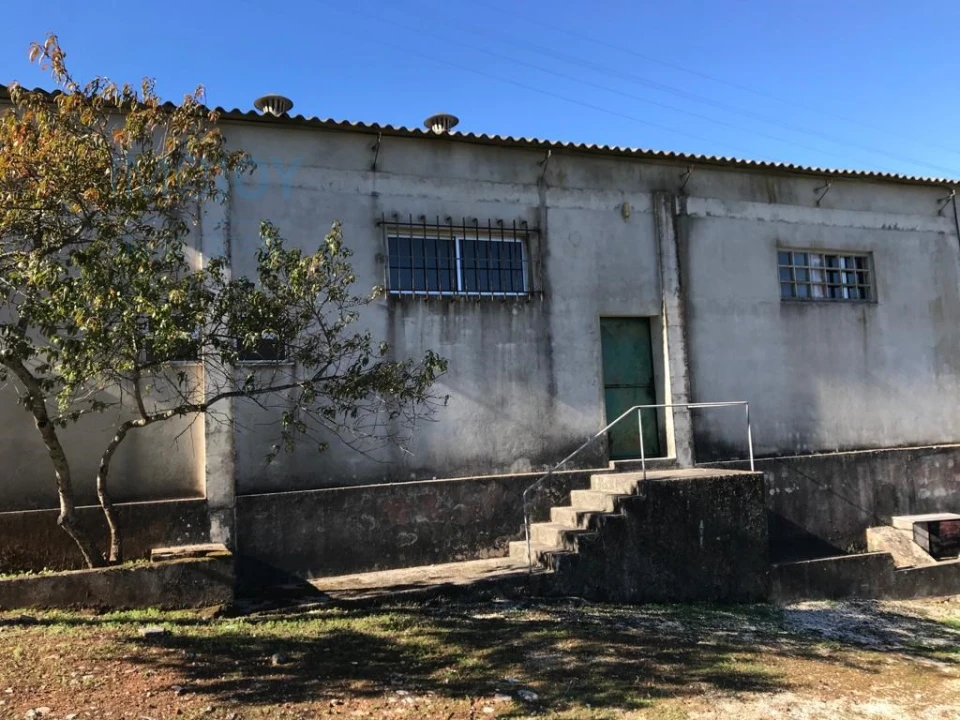 Armazém para Venda em Arrimal e Mendiga Foto 2