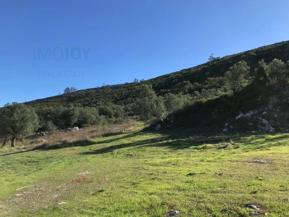 Armazém para Venda em Arrimal e Mendiga Foto 10