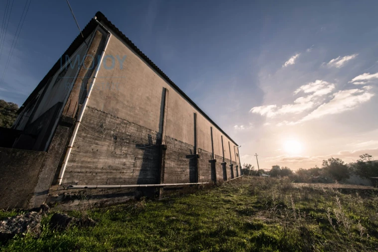 Armazém para Venda em Arrimal e Mendiga Foto 9