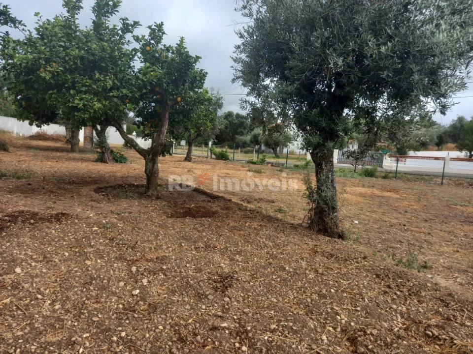 Terreno para Venda em Santa Margarida da Coutada Foto 1