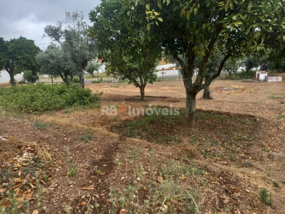 Terreno para Venda em Santa Margarida da Coutada Foto 2