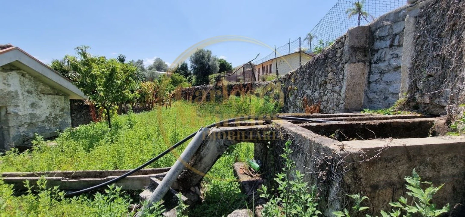 Quinta para Venda em Esqueiros, Nevogilde e Travassós Foto 10
