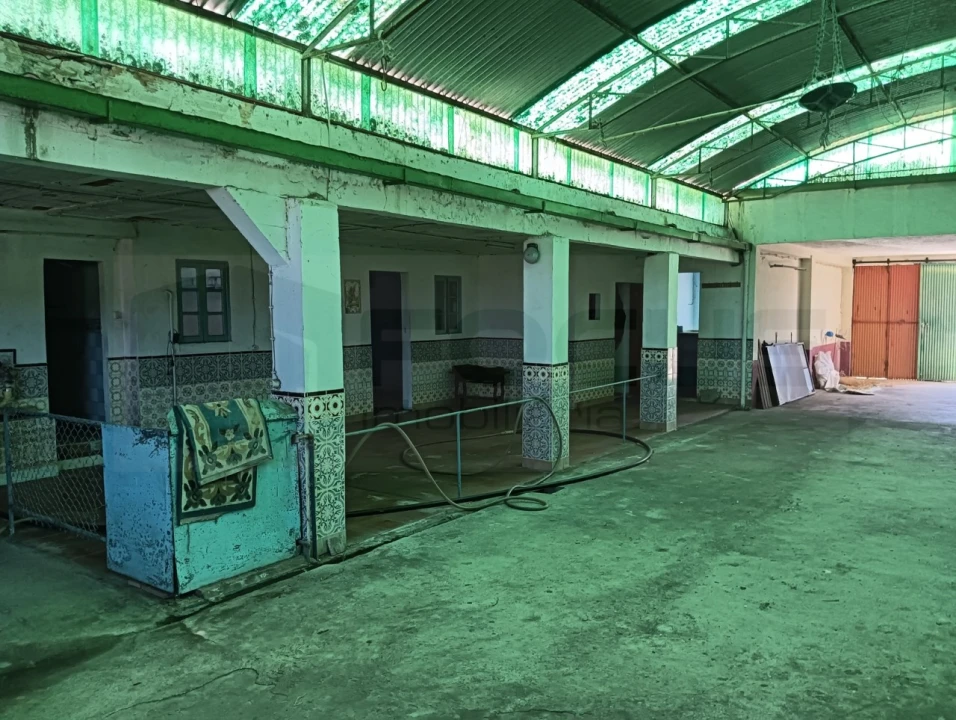 Moradia T2 para Venda em Ponte de Vagos e Santa Catarina Foto 8