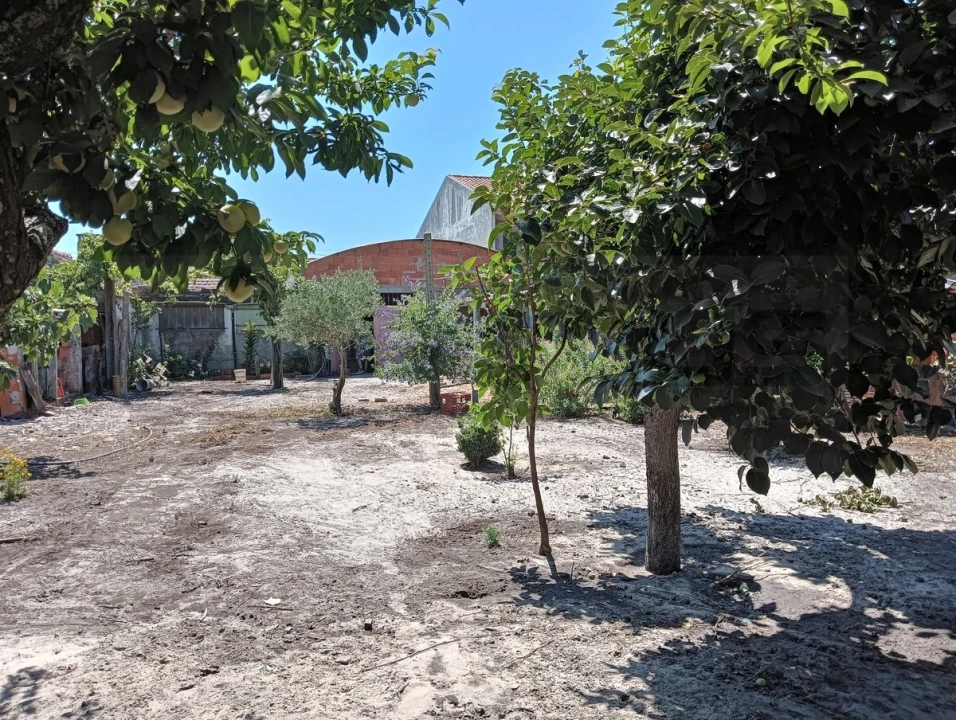 Moradia T2 para Venda em Ponte de Vagos e Santa Catarina Foto 27