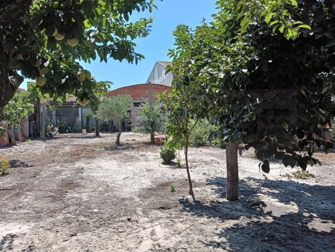 Moradia T2 para Venda em Ponte de Vagos e Santa Catarina Foto 27