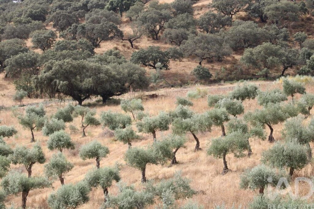 Moradia T13 para Venda em São João Baptista Foto 27